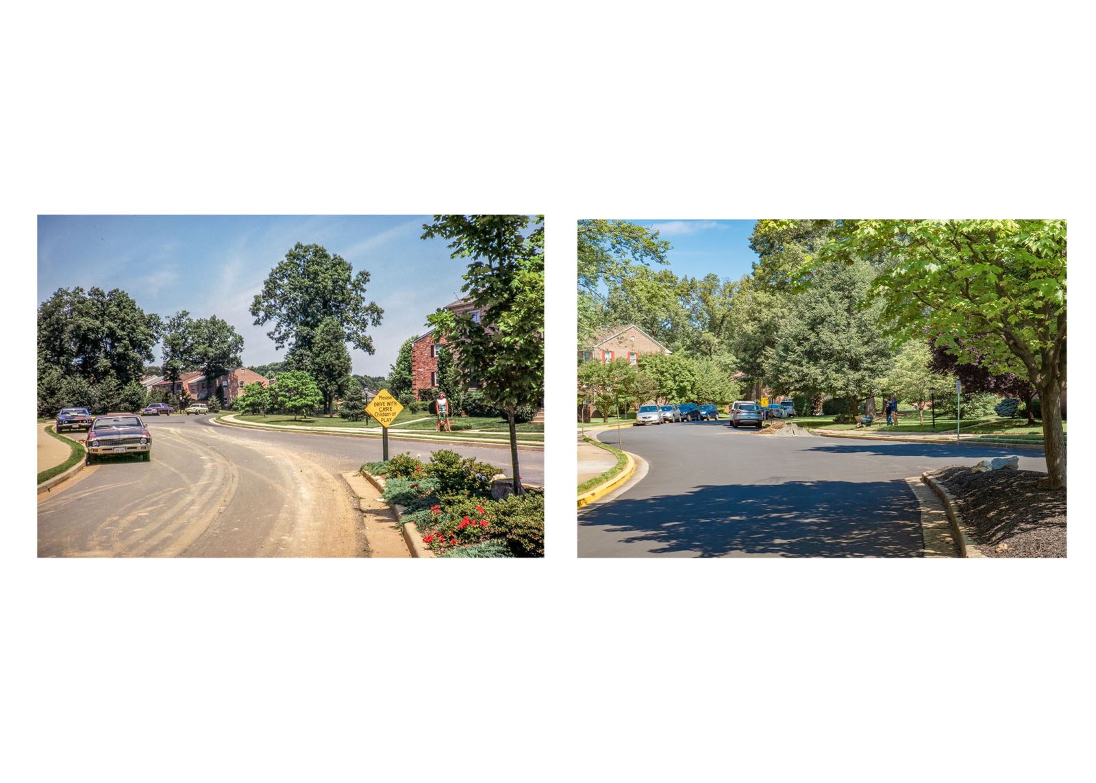 Stonehurst HOA Stonehurst turns 50!!!